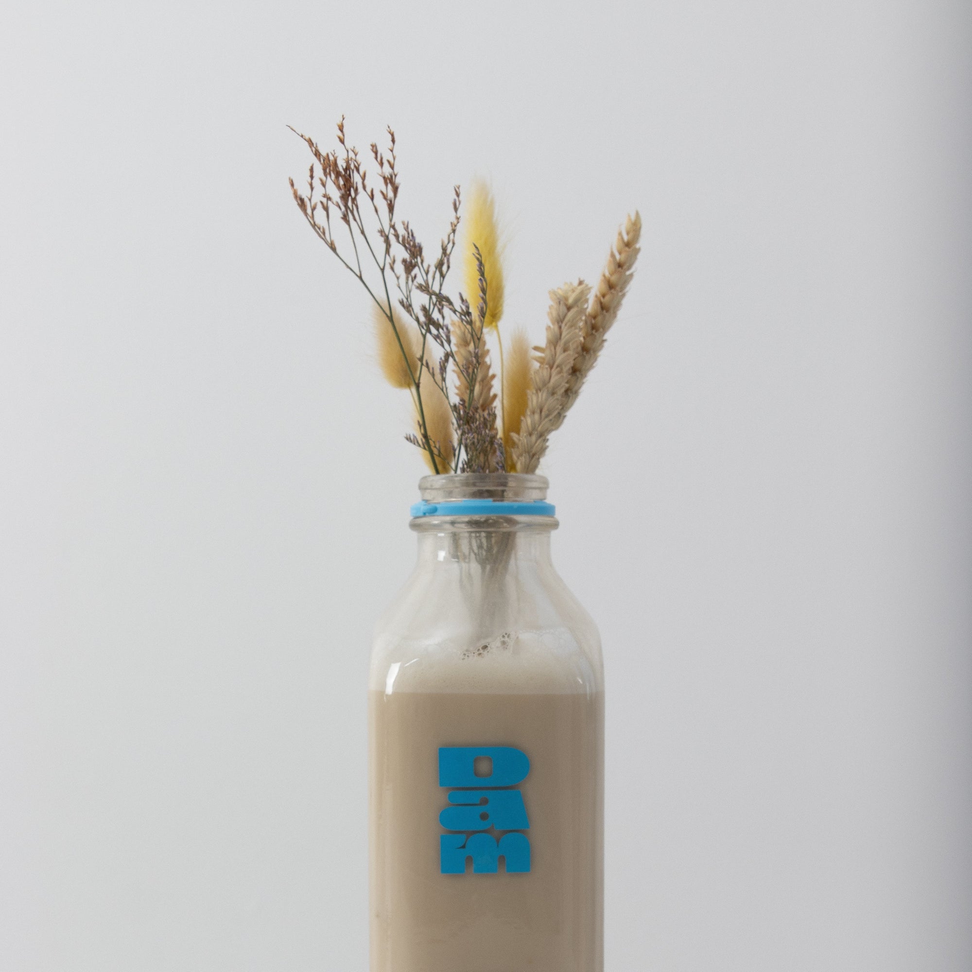 Les nombreux bienfaits des laits végétaux