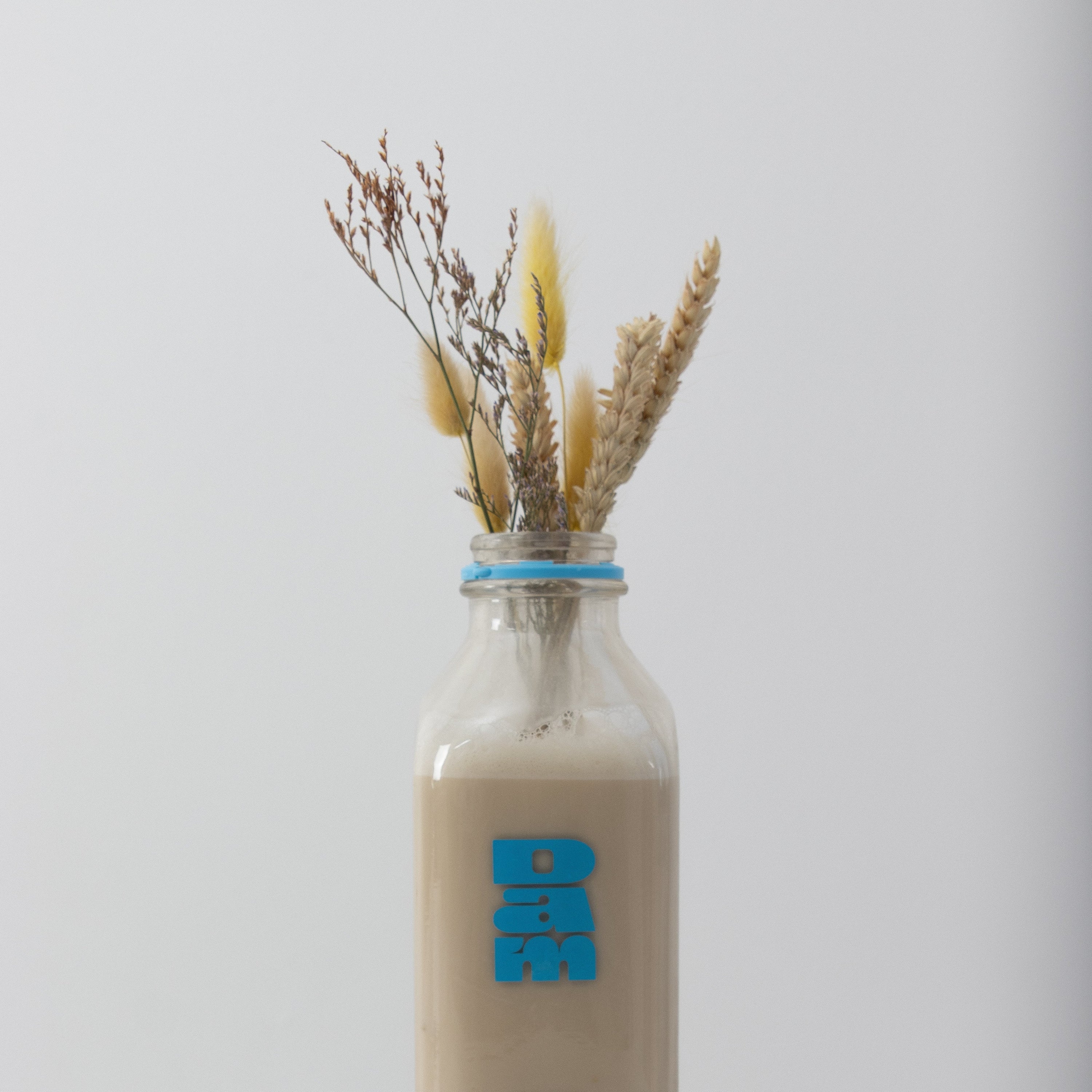 Les nombreux bienfaits des laits végétaux